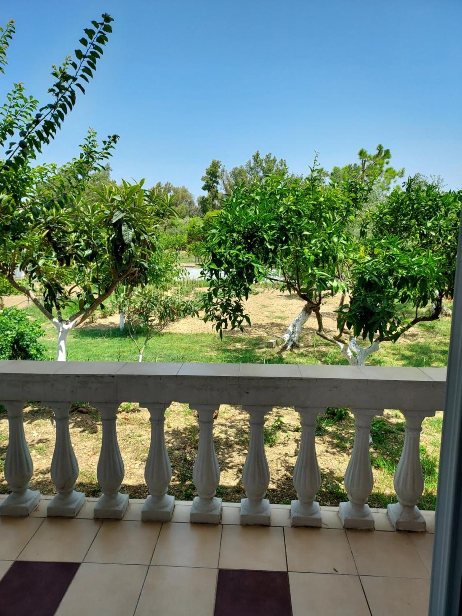 Canditas Studios Tsilivi  Luaran gambar